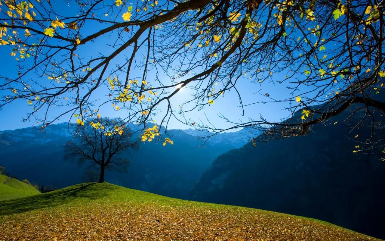 无人化智能信息化